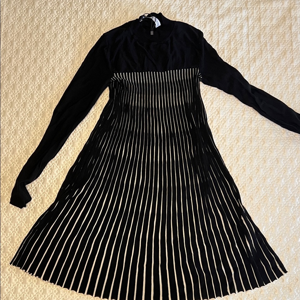 Zara Pleated Black and White Long Sleeve Dress
